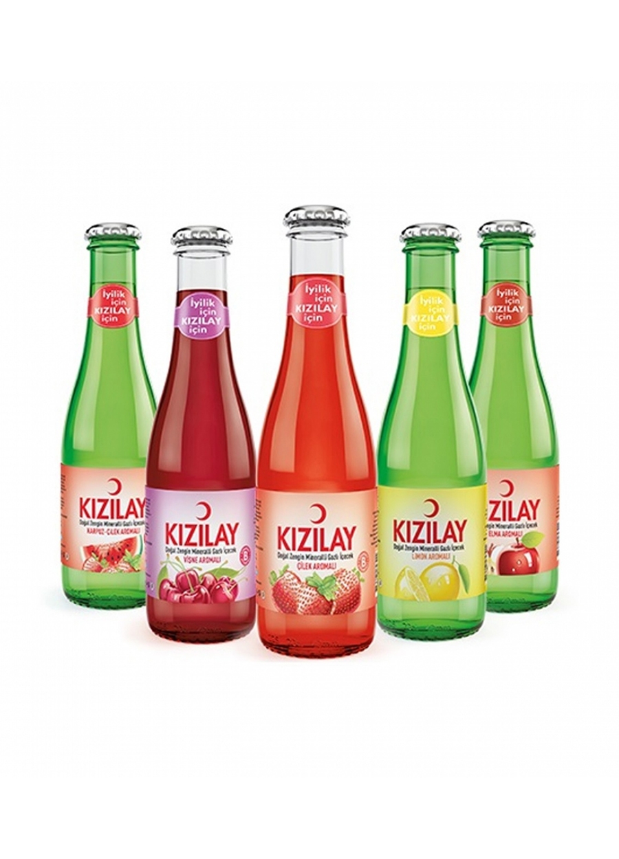 KIZILAY MEYVELİ SODA 200ML*24