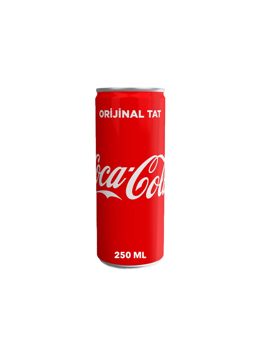 COCA COLA 250ML*24 TENEKE